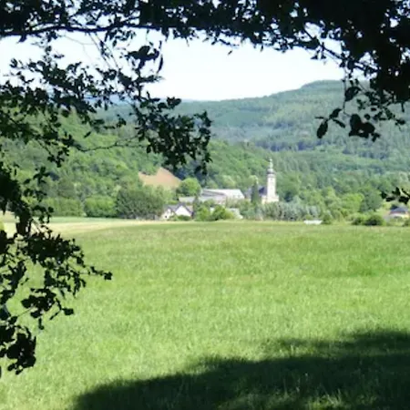Braun Bengel